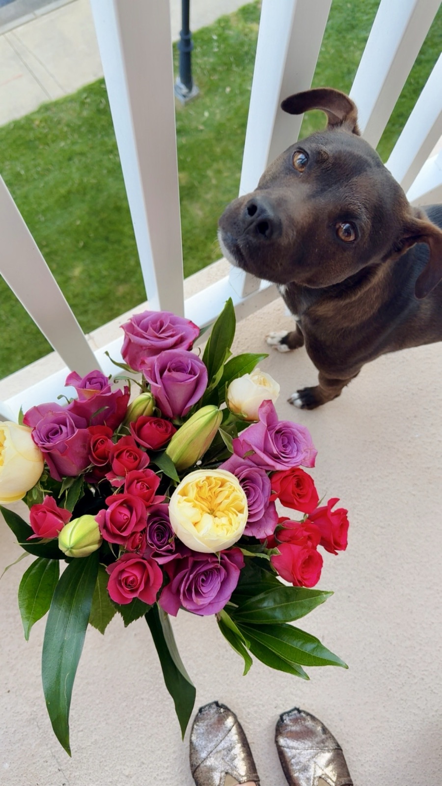 The flowers from Apr 25, 2025