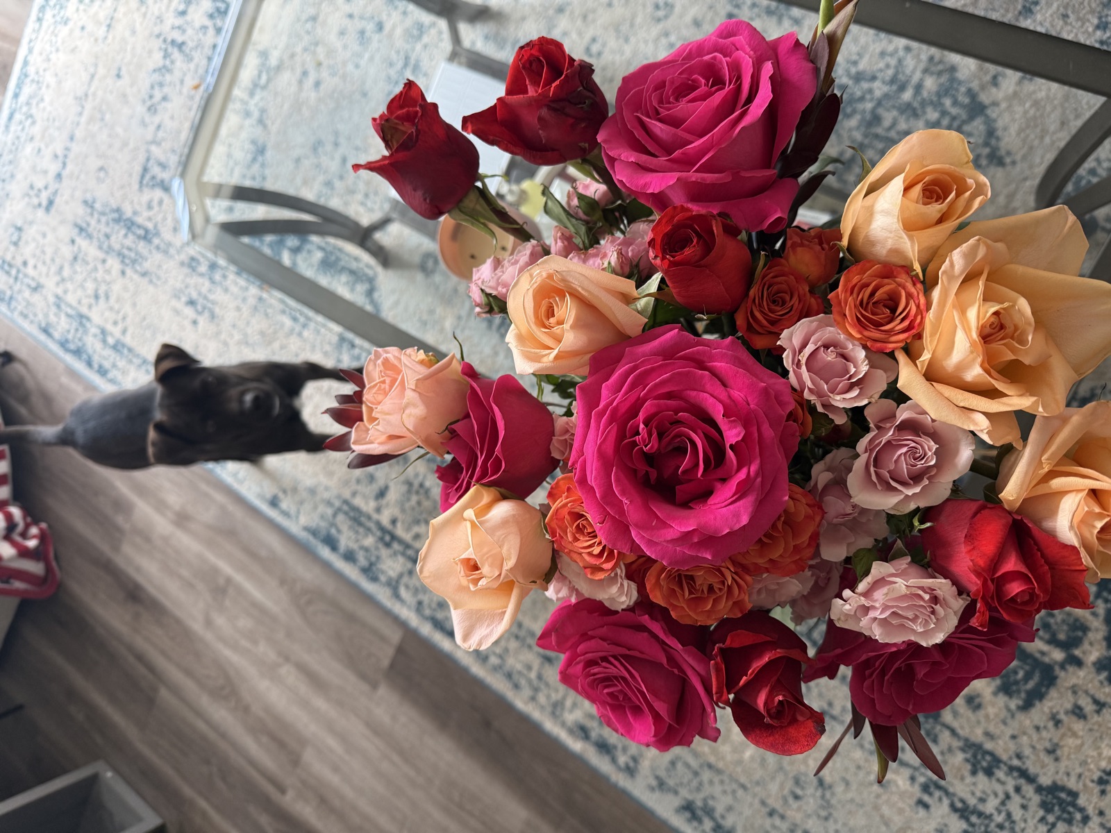 The flowers from Aug 1, 2025