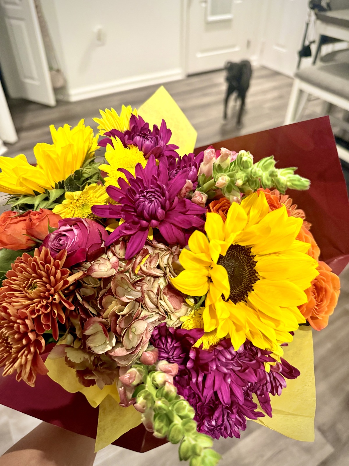 The flowers from Sep 12, 2025