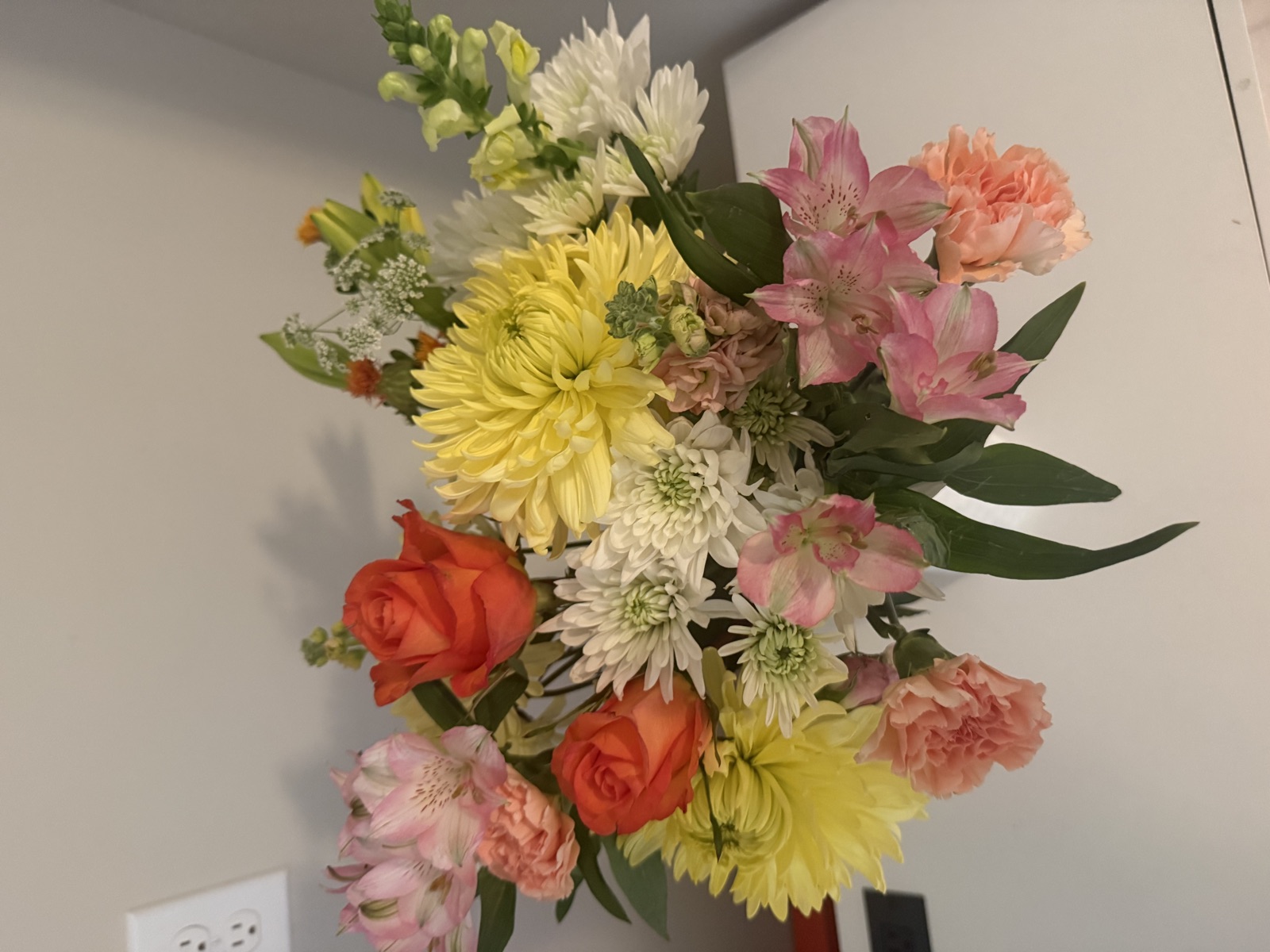 The flowers from Mar 27, 2026
