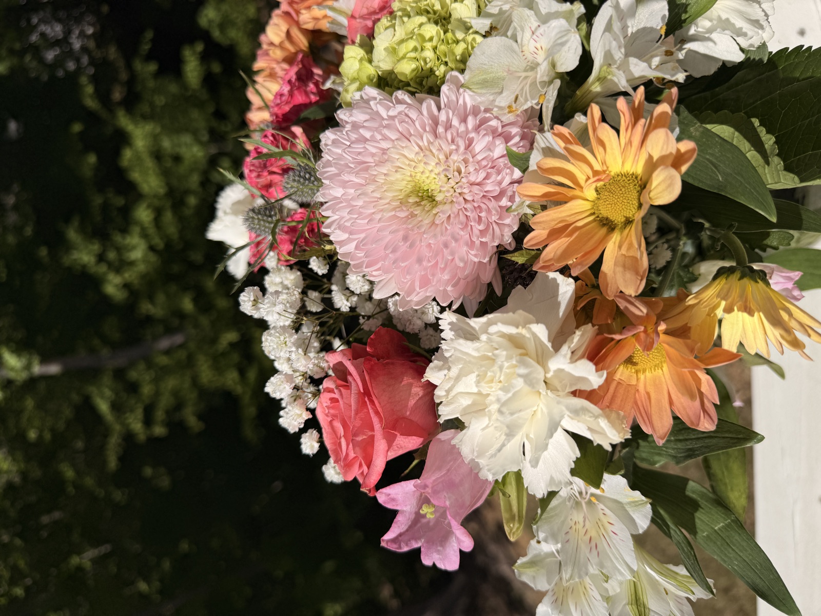 The flowers from Apr 17, 2026