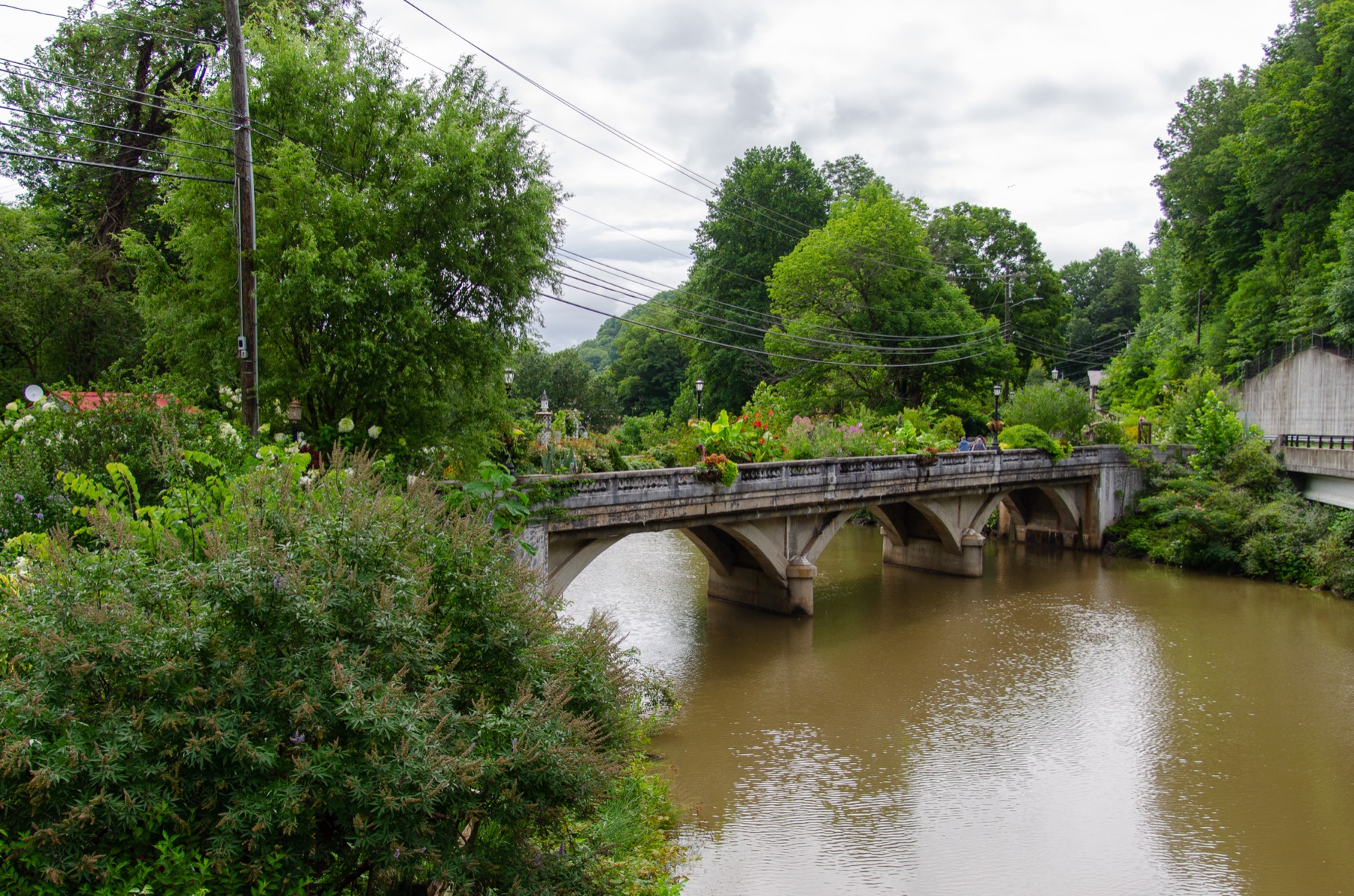 The Lake Lure Flowering Bridge in full bloom, before Hurricane Helene.